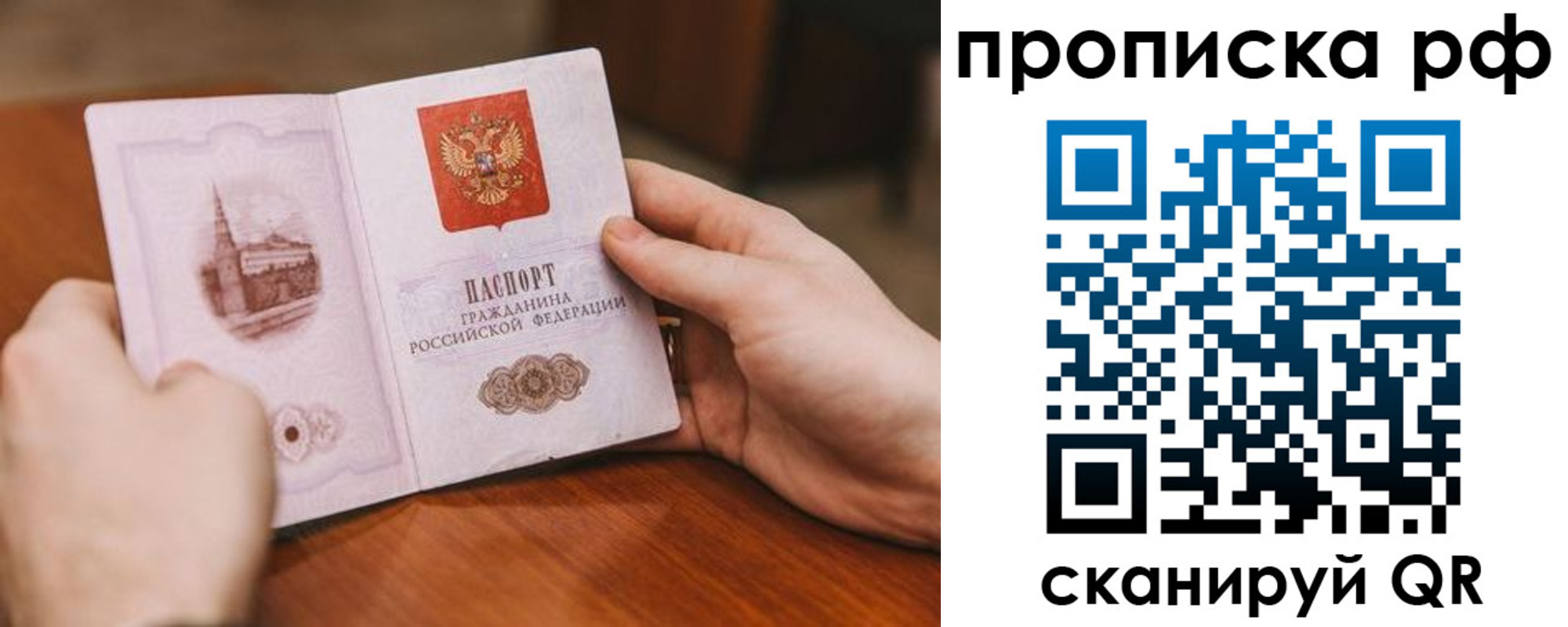 прописка поиск в Лузе